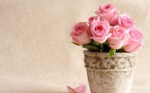 Обои для рабочего стола: Розы в вазе