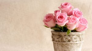 Обои для рабочего стола: Розовые розы 