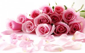 Букет розовых роз - скачать обои на рабочий стол