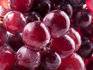 Красный виноград - скачать обои на рабочий стол