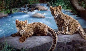 Обои для рабочего стола: Малыши леопарды