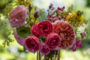 Чайные розы - скачать обои на рабочий стол