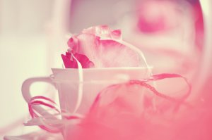 Обои для рабочего стола: Розовая роза