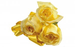 Обои для рабочего стола: Розы в желтом