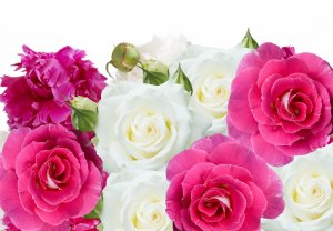 Букет с розами - скачать обои на рабочий стол