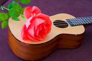 Обои для рабочего стола: Роза на гитаре