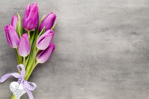 Тюльпаны с лентой - скачать обои на рабочий стол