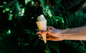 Тропическое мороженое - скачать обои на рабочий стол
