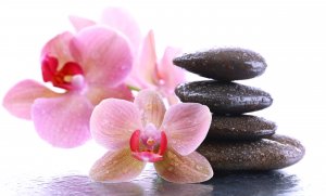 Обои для рабочего стола: Камни и орхидеи