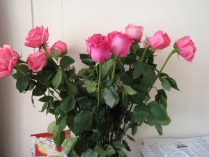 Обои для рабочего стола: Букет из роз