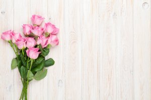 Обои для рабочего стола: Розы розового цвета
