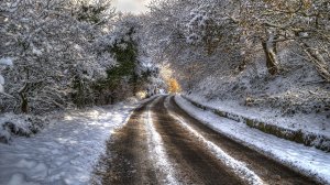 Снежная дорога в лесу - скачать обои на рабочий стол