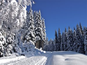 Снежная дорога - скачать обои на рабочий стол