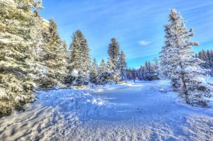 Обои для рабочего стола: Зима в Канаде