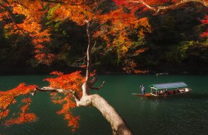 Обои для рабочего стола: Киото в Японии