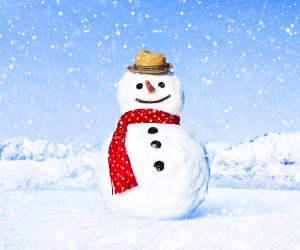 Обои для рабочего стола: Снеговик в шарфе