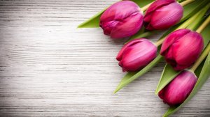 Тюльпаны на столе - скачать обои на рабочий стол