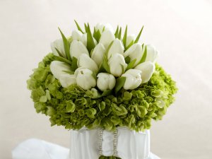Белые тюльпаны и гидрангиа - скачать обои на рабочий стол