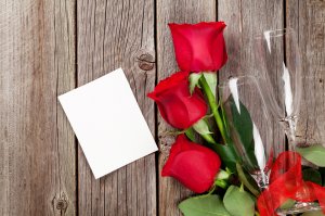 Обои для рабочего стола: Розы и чистый лист