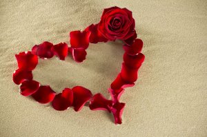 Сердце из лепестков розы - скачать обои на рабочий стол