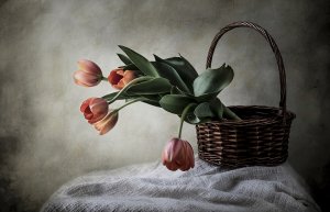 Тюльпаны в корзинке - скачать обои на рабочий стол