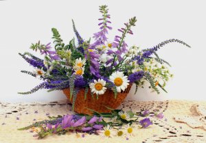 Букет полевых цветов - скачать обои на рабочий стол