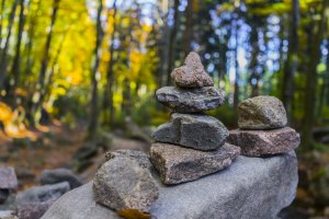 Камни в лесу - скачать обои на рабочий стол