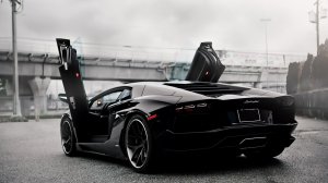 Обои для рабочего стола: Lamborghini Aventado...