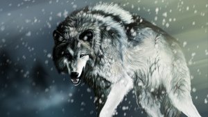 Агрессивный волк - скачать обои на рабочий стол