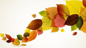 Обои для рабочего стола: Осенние листья