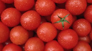 Сочные помидоры  - скачать обои на рабочий стол
