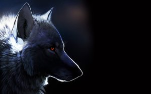 Черный волк с янтарными глазами - скачать обои на рабочий стол