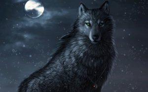 Обои для рабочего стола: Черный волк и луна