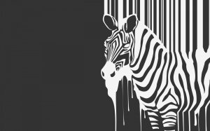 Текущая черно-белая зебра  - скачать обои на рабочий стол