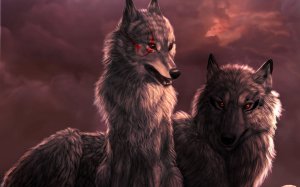 Обои для рабочего стола: Волк с волчицей 