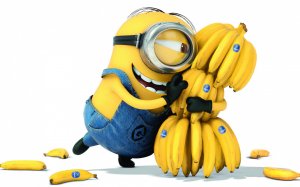 Обнимашки с бананами  - скачать обои на рабочий стол