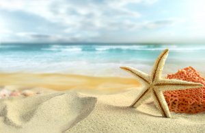 Морская звезда на пляже - скачать обои на рабочий стол