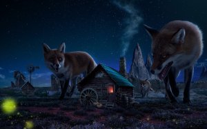 Большие ночные лисы  - скачать обои на рабочий стол