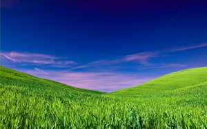 Зеленое поле и красивое небо - скачать обои на рабочий стол