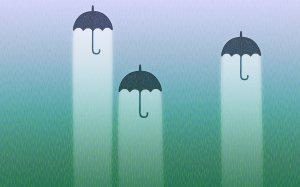 Обои для рабочего стола: Зонты от дождя