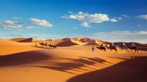 Пейзаж караван в пустыне - скачать обои на рабочий стол