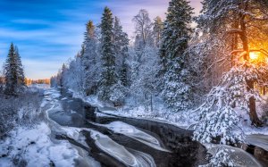 Зимняя река и заснеженный лес  - скачать обои на рабочий стол