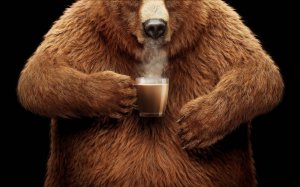 Медведь с кофе  - скачать обои на рабочий стол