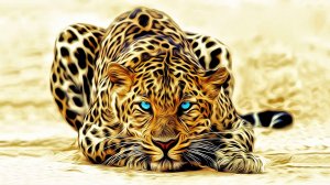 Красивые глаза леопарда - скачать обои на рабочий стол