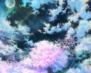 Сакура и красивое небо  - скачать обои на рабочий стол