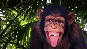 Веселая обезьяна  - скачать обои на рабочий стол